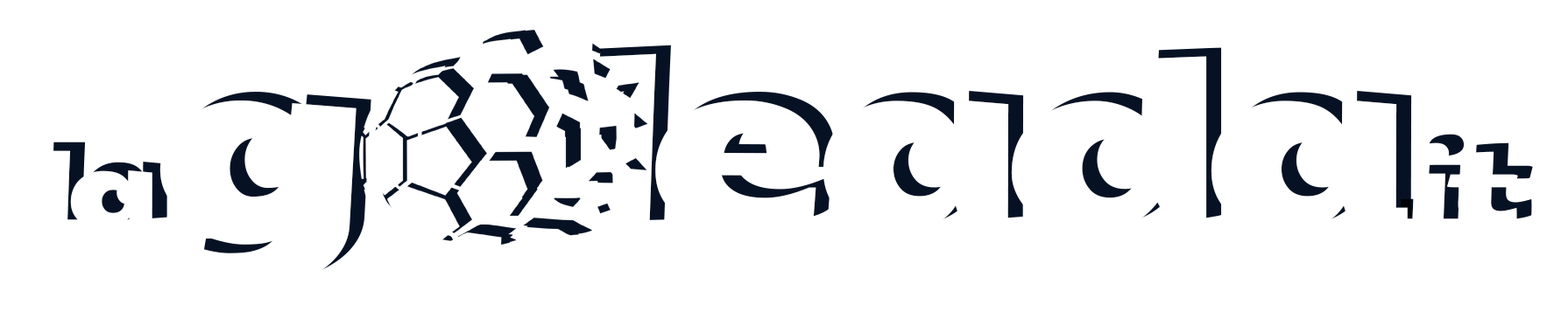 Footer Logo