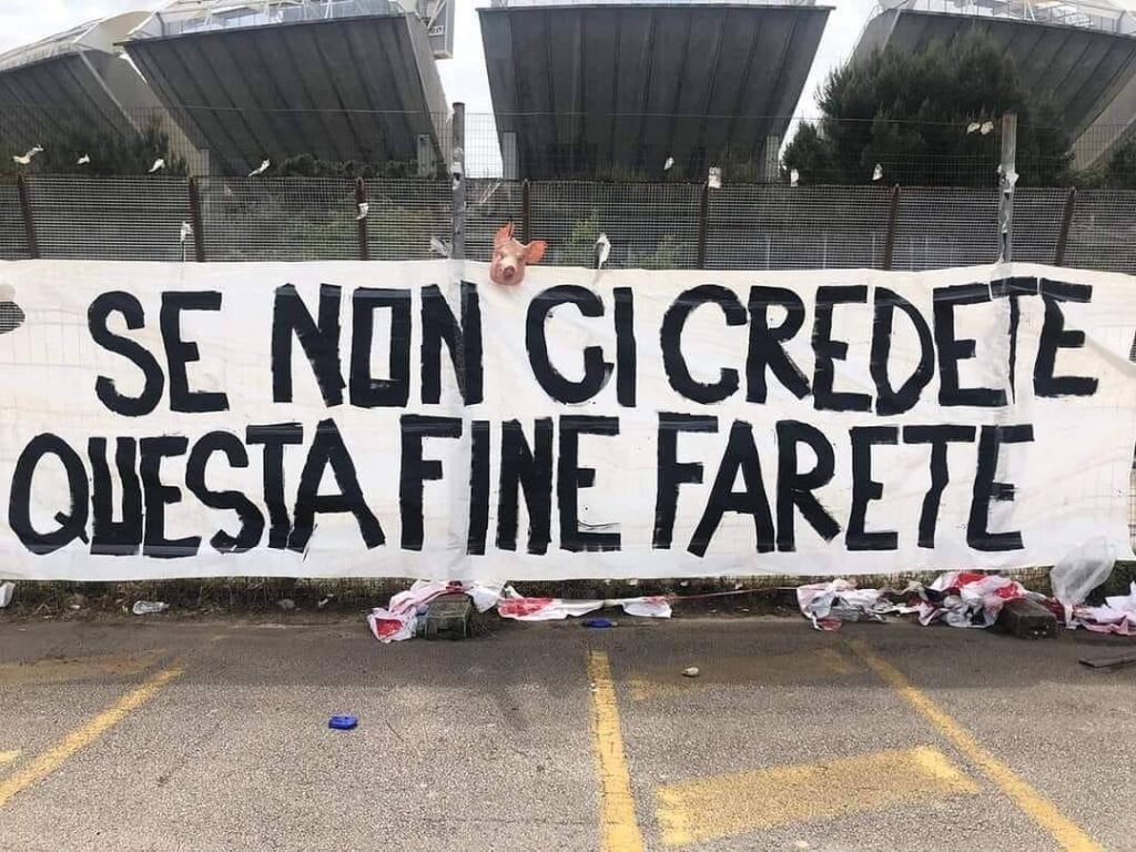 Orrore a Bari, testa di maiale mozzata e striscione: “Questa fine farete”