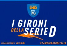 Gironi Serie D