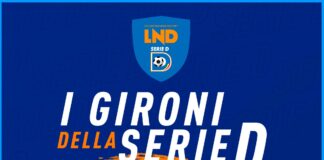Gironi Serie D
