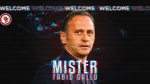 Gallo