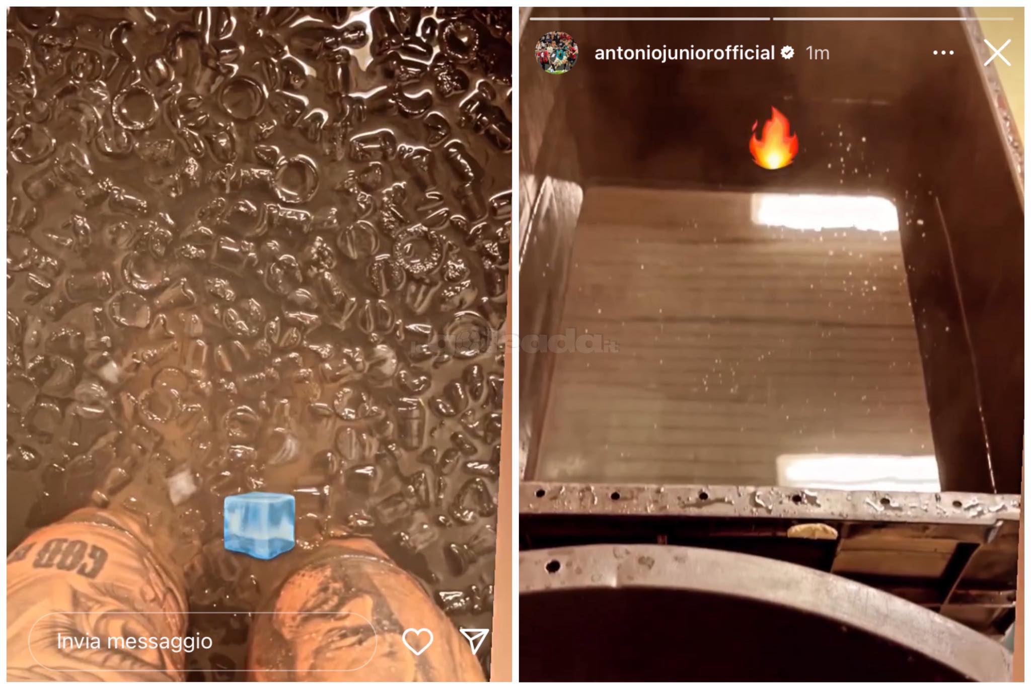 Vacca Instagram