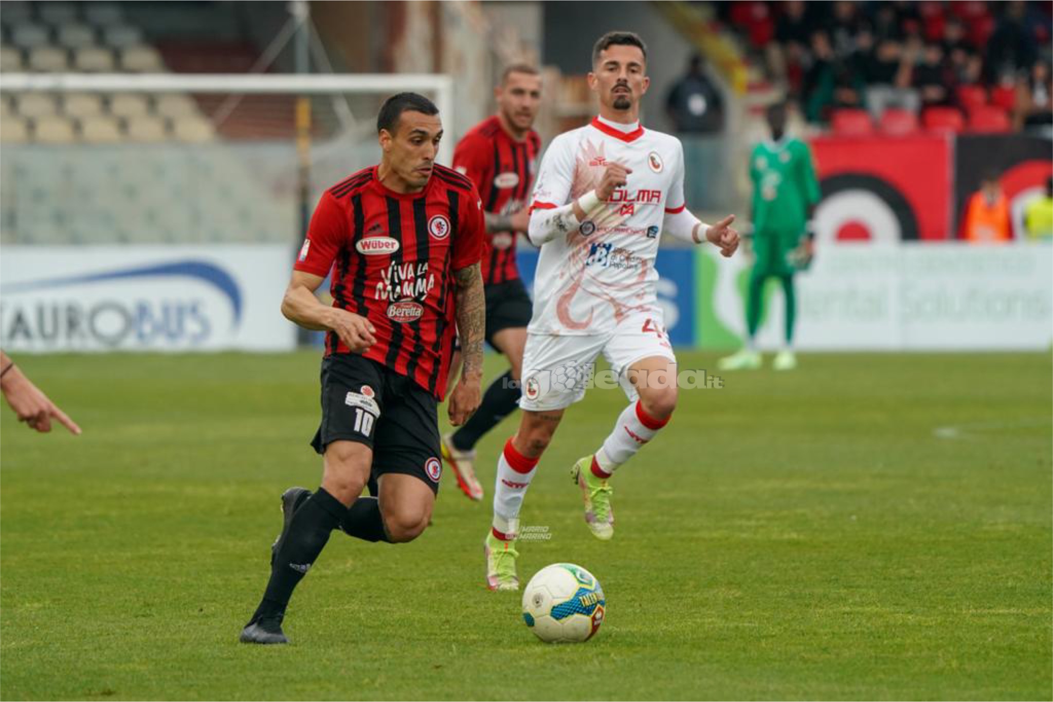 Peralta Foggia-Turris