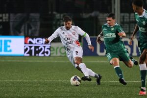 Vacca Avellino-Foggia