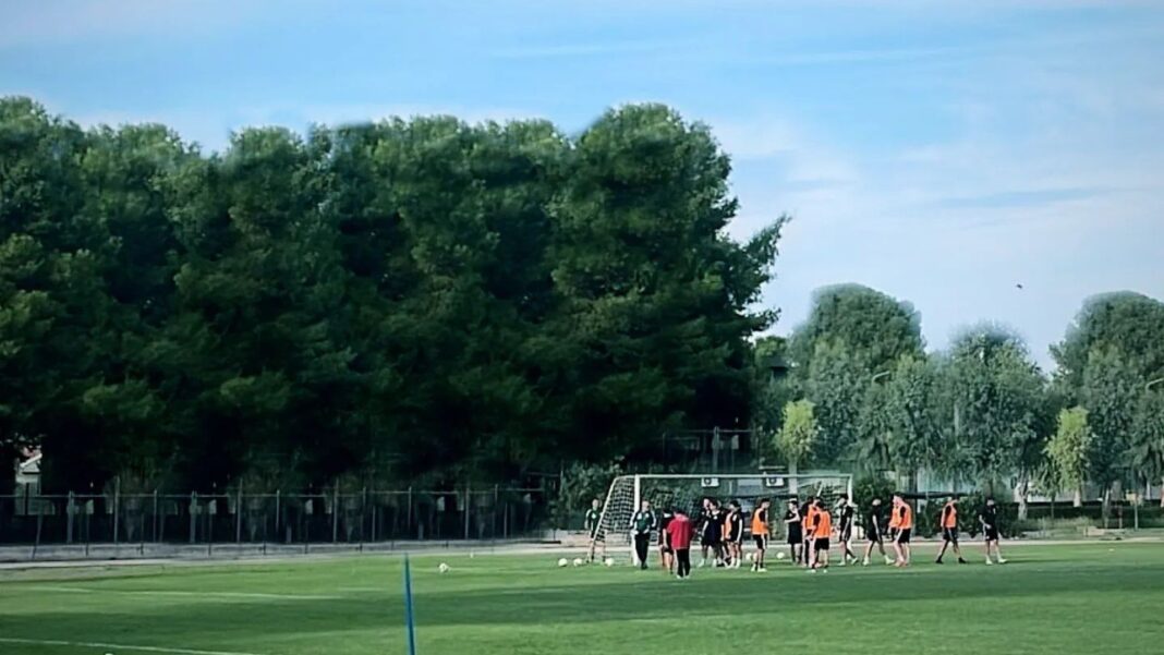 Amendola Foggia