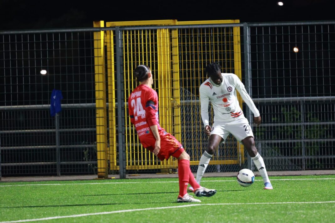 Sarr Picerno-Foggia